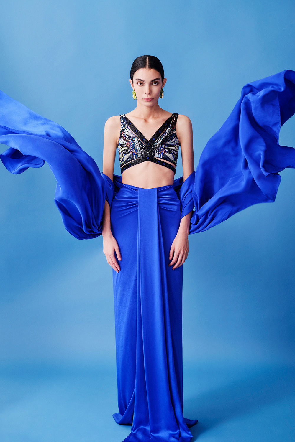 Beaucoup blue butterfly set